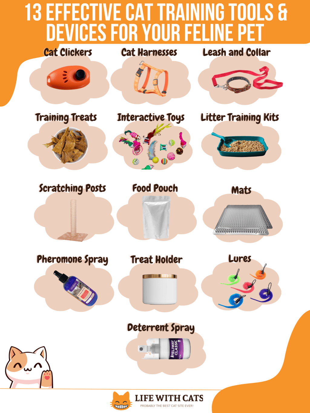 Cat Training Tools Infographic
