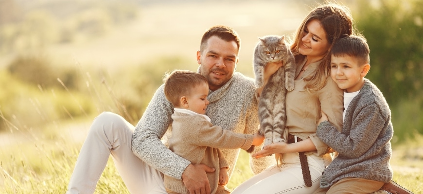 Family Playing With Their Cat In The Park