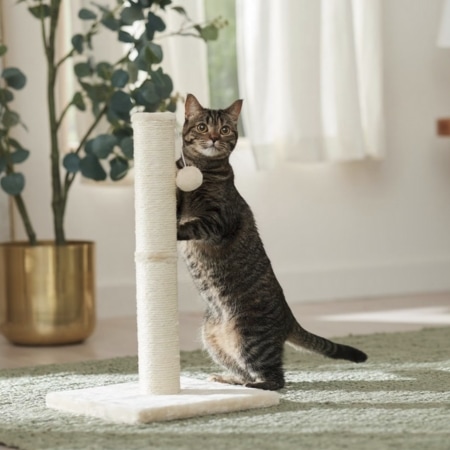 Frisco 21-in Sisal Cat Scratching Post with Toy