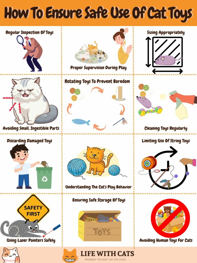 Types of Cat Toys List of Safe and Dangerous Options For Your Pet