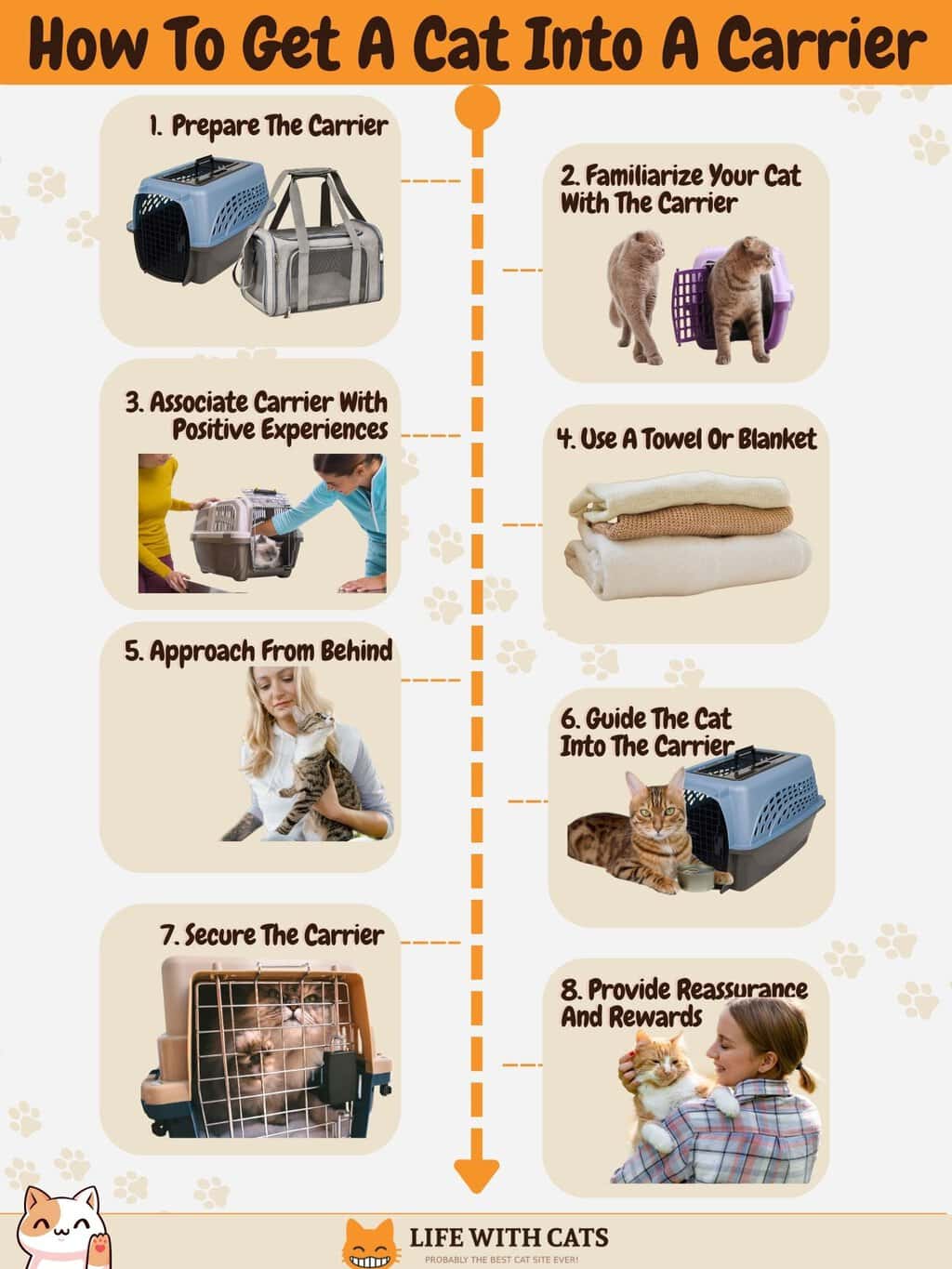 cat-carrier-training-benefits-essentials-guide-tips