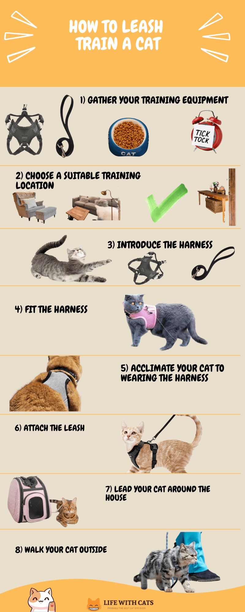 Training a cat to walk on a harness new arrivals