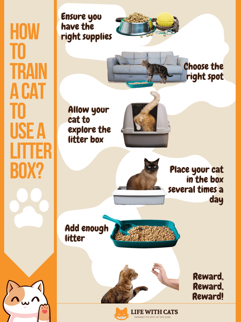 How to Train Your Cat Infographic ver 2
