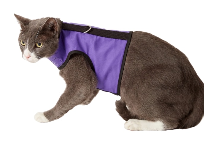 Kitty Holster Cat Harness