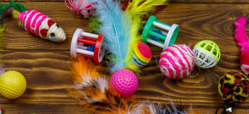 Set of toys for cat on wooden background