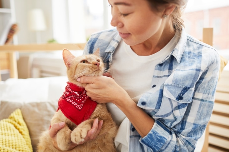 Woman Petting Her Cat