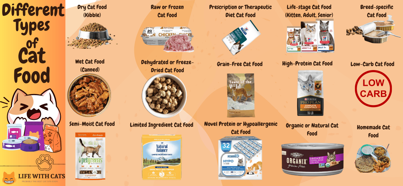 Cat Nutrition: A Crucial Step for Better Training and Behavior