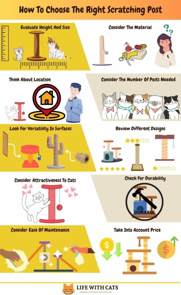 How To Choose The Right Scratching Post 