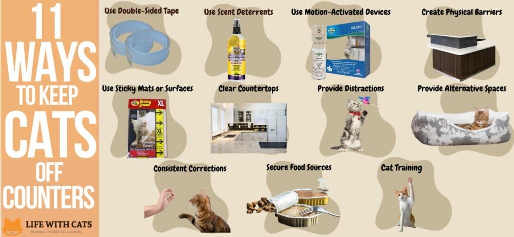 Keep cats off counters hotsell