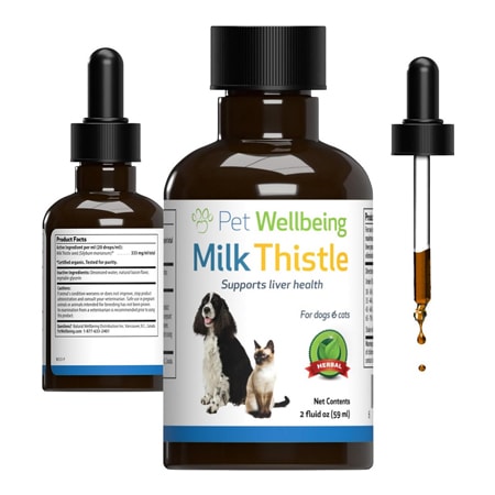 Pet-Wellbeing-Milk-Thistle-for-Cats.jpg