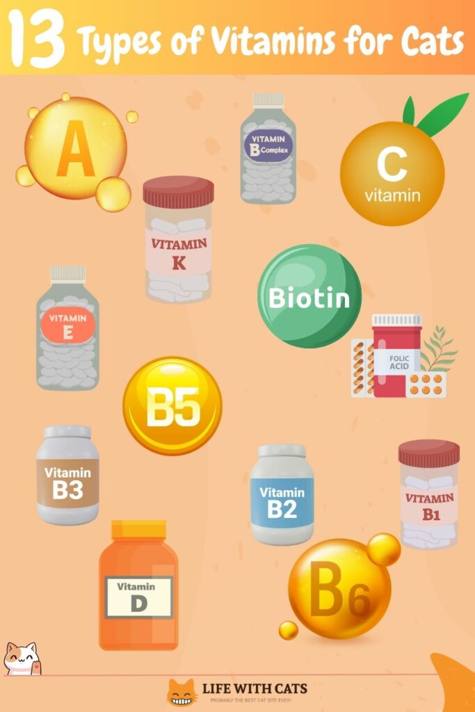 Types of vitamins